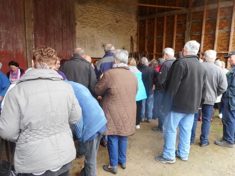 Mycologie 2019--12