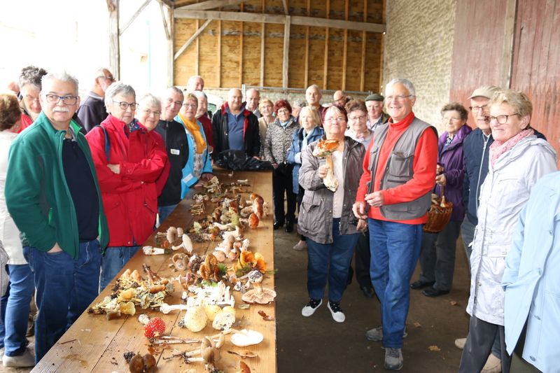 Mycologie 2019--15